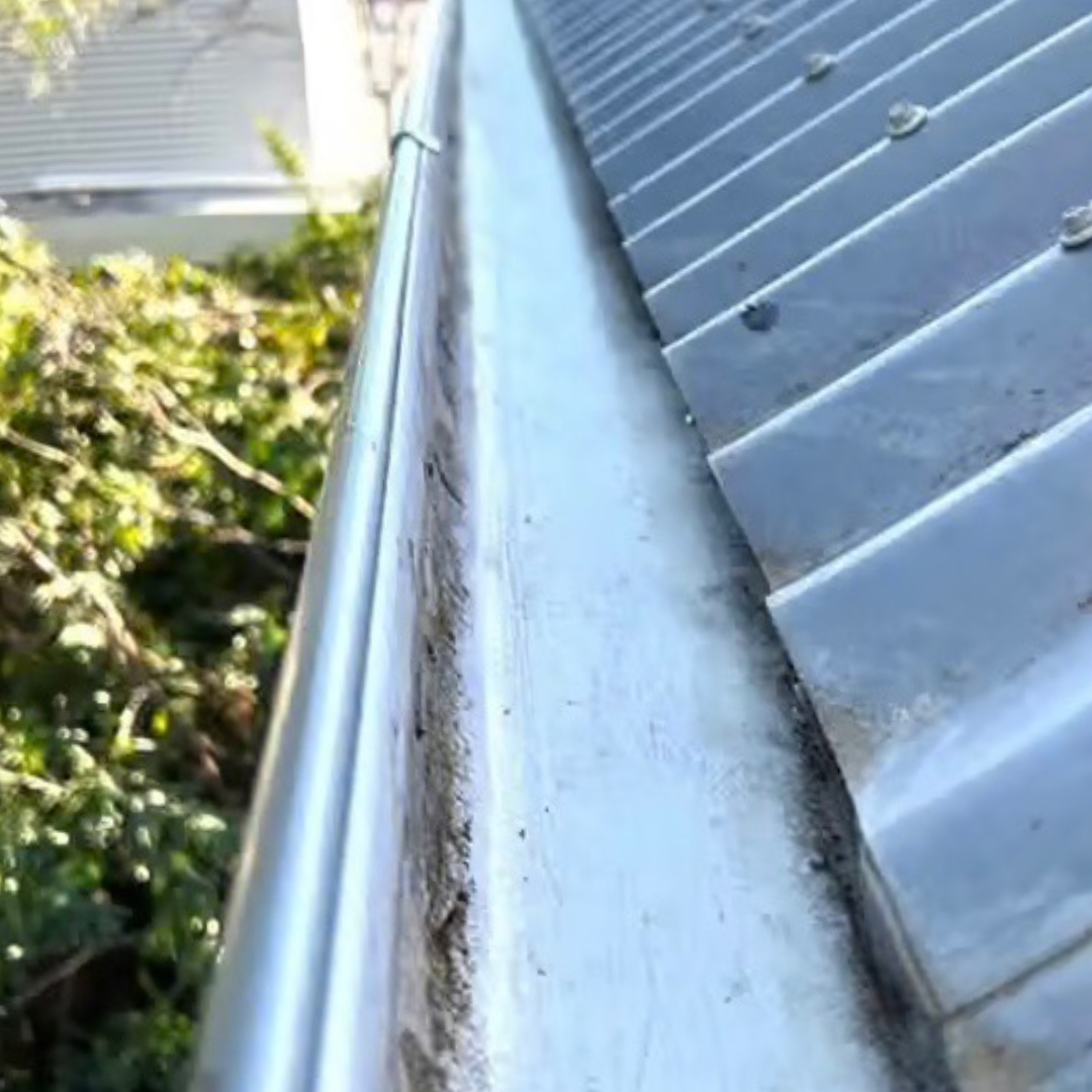 After Gutter Clean