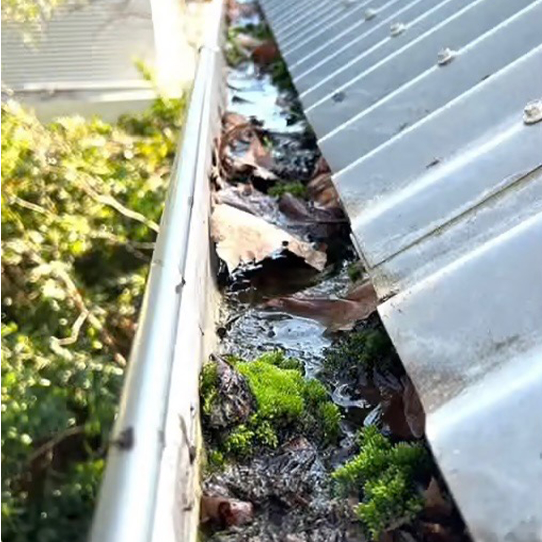 Before Gutter Clean